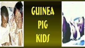 Guinea Pig Kids's poster