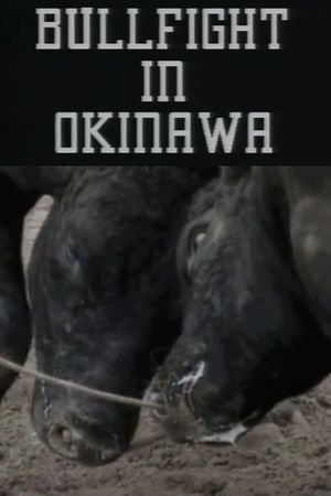 Bullfight in Okinawa's poster