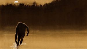 The Legend of Boggy Creek's poster