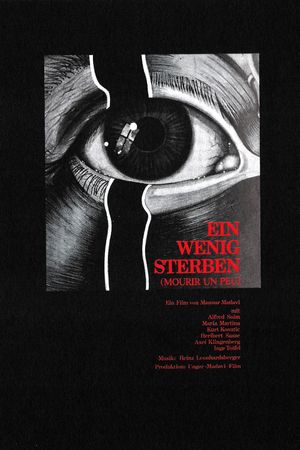 Ein wenig sterben's poster image