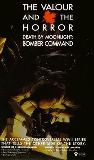Death by Moonlight: Bomber Command's poster