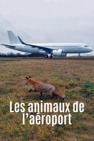 Airport Animal Stories's poster image