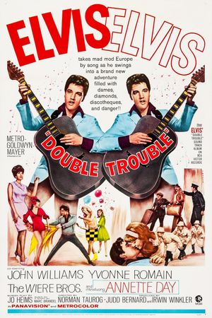 Double Trouble's poster