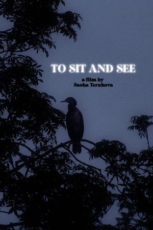 To Sit and See's poster