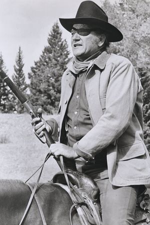True Grit's poster