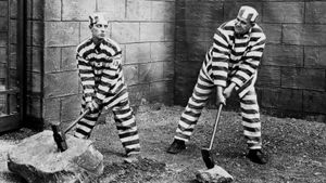 Convict 13's poster