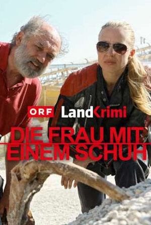 Die Frau mit einem Schuh's poster