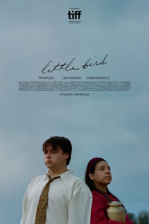 Little Bird's poster image