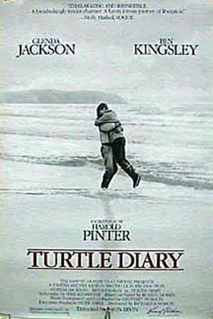 Turtle Diary's poster