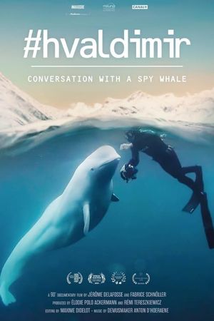 #Hvaldimir, Conversation With a Spy Whale's poster