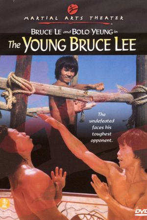 Bruce: King of Kung Fu's poster