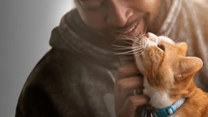 Pets's poster