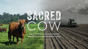 Sacred Cow: The Nutritional, Environmental and Ethical Case for Better Meat's poster