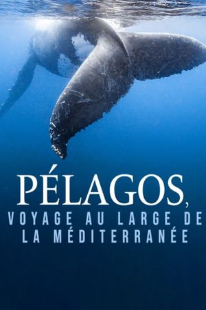 Pélagos, voyage au large de la Méditerranée's poster