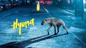 Hyena's poster