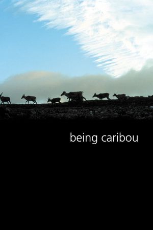 Being Caribou's poster image