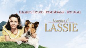 Courage of Lassie's poster