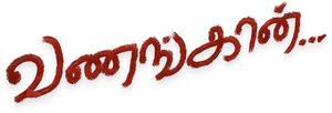 Vanangaan's poster
