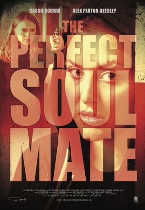 The Perfect Soulmate's poster
