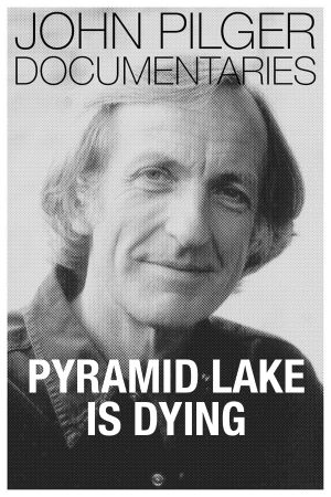 Pyramid Lake Is Dying's poster
