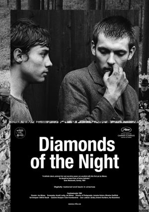 Diamonds of the Night's poster