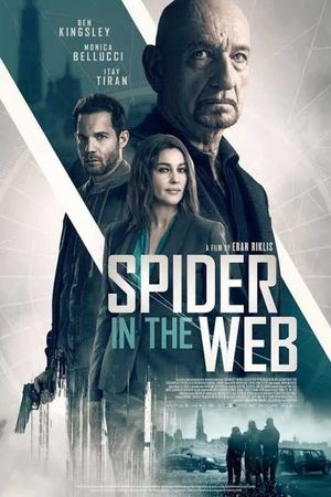 Spider in the Web's poster