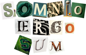 Somnio Ergo Sum's poster