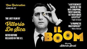 The Boom's poster