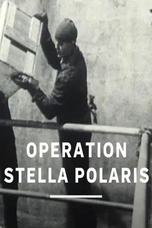 Operation Stella Polaris's poster image