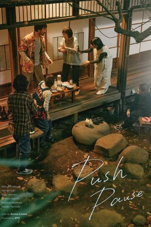 Push Pause's poster