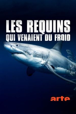 Les requins qui venaient du froid's poster