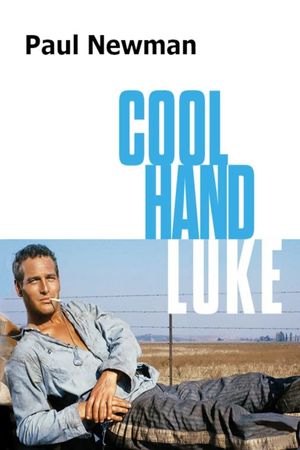 Cool Hand Luke's poster