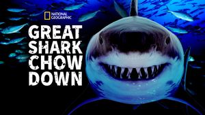 Great Shark Chow Down's poster