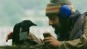 Four Lions's poster