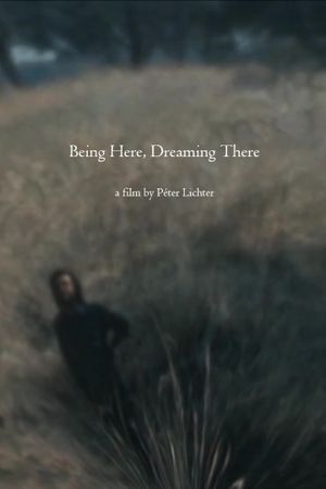 Being Here, Dreaming There's poster