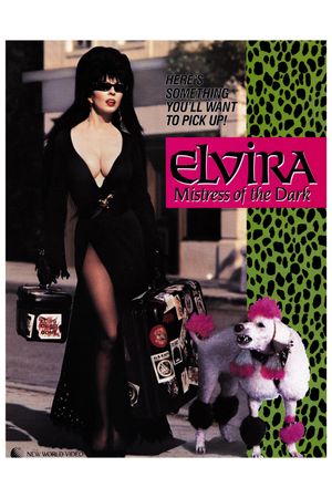 Elvira: Mistress of the Dark's poster