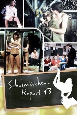Schoolgirl Report Vol. 13: Don't Forget Love During Sex's poster