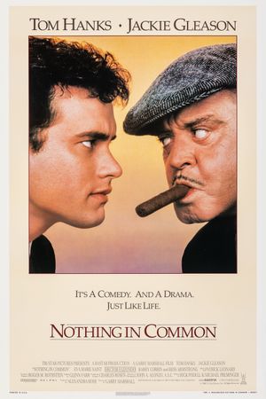 Nothing in Common's poster