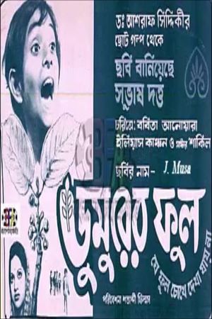 Dumurer Phul's poster