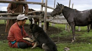 The Bounty Hunter of Mongolia's poster