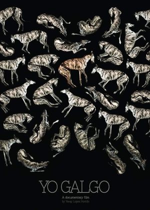Yo Galgo's poster
