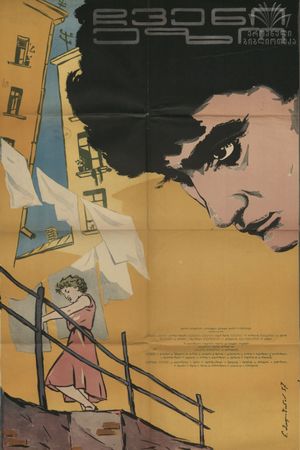 In Our Courtyard's poster