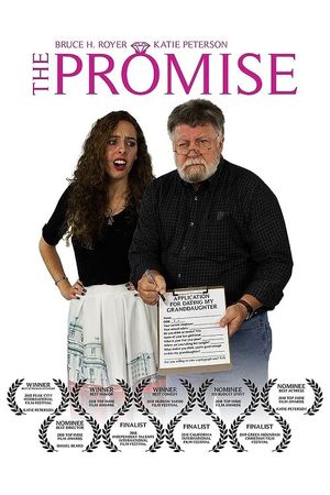 The Promise's poster