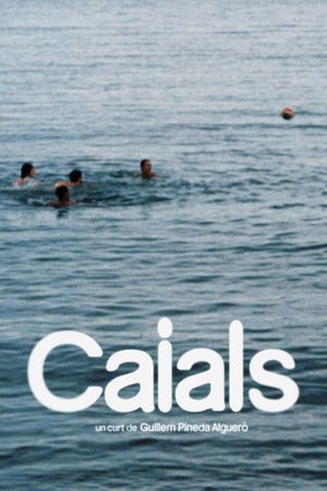 Caials's poster image