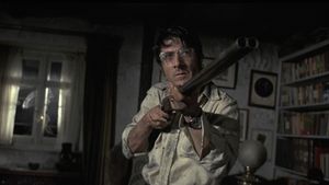 Straw Dogs's poster
