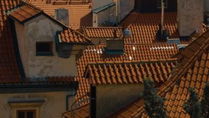 Of Birds and Roofs's poster