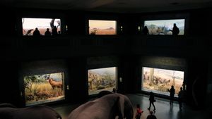 Curiosity and Control's poster