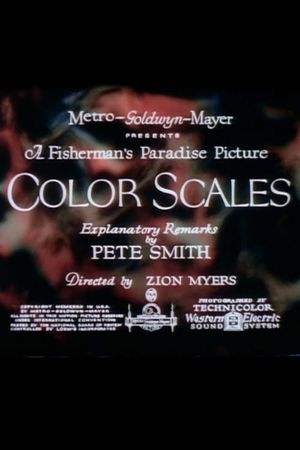 Color Scales's poster