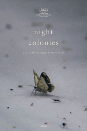 Night Colonies's poster