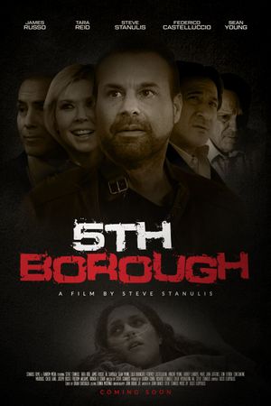5th Borough's poster